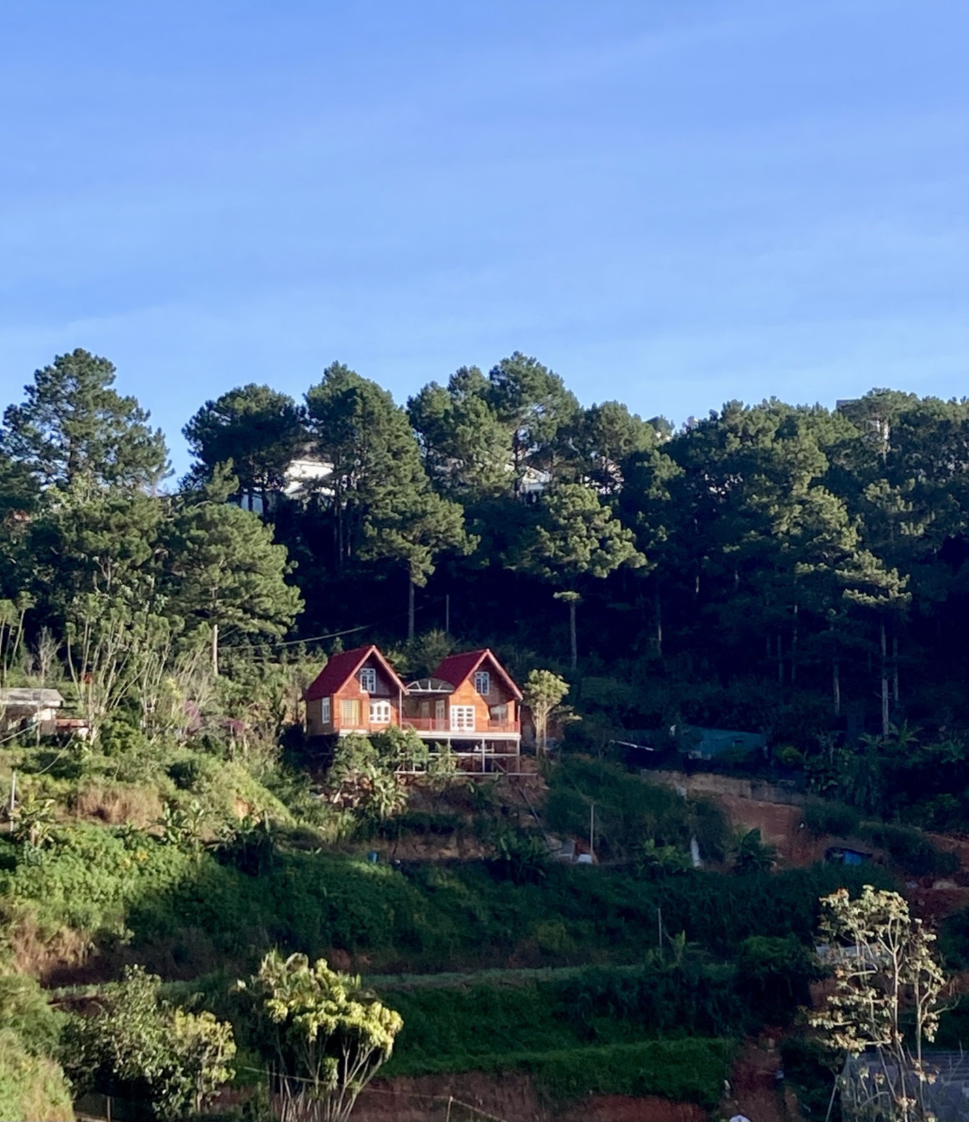 Nhà gỗ trên đồi thông Đà Lạt nhìn từ xa