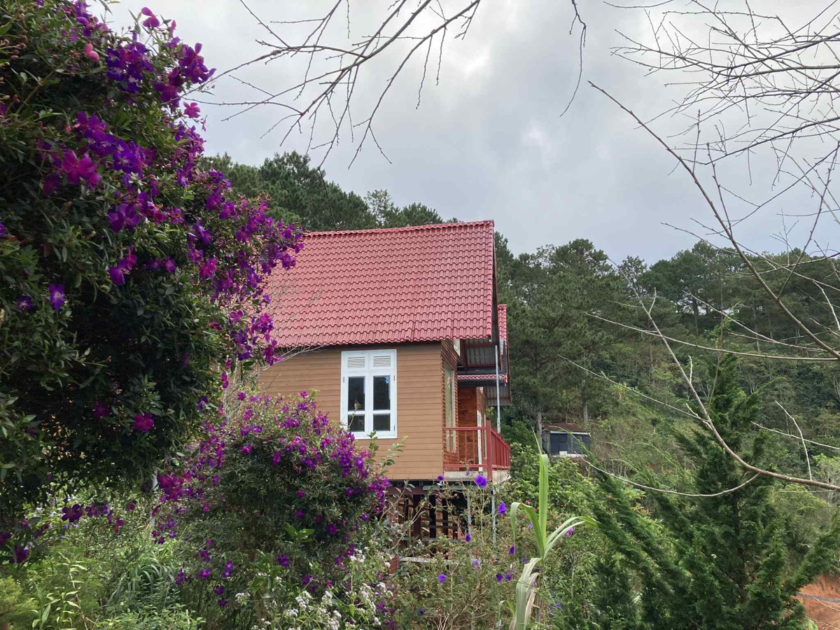 Nhà gỗ giữa vườn hoa giấy