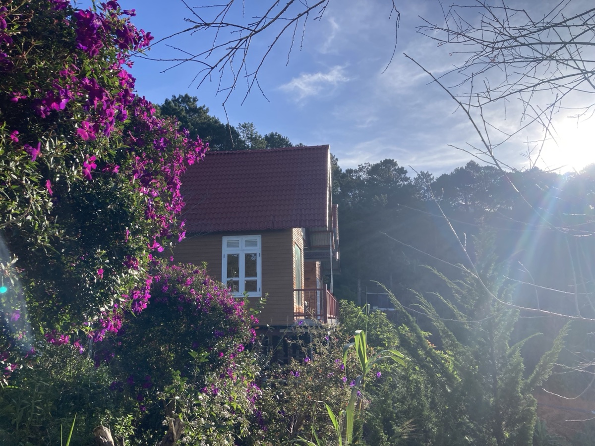 Nhà gỗ Lưng Đồi Homestay với hoa giấy tím và nắng Đà Lạt